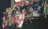 Lansdowne-Road-Riot.jpg