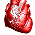 Dublin_Kopite