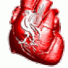 Dublin_Kopite